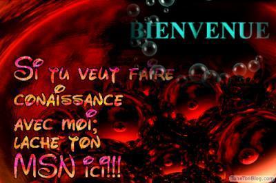 LACHE TON MSN